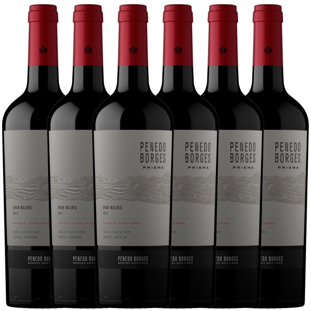 Caja Penedo Borges Prisma Gran Malbec x6