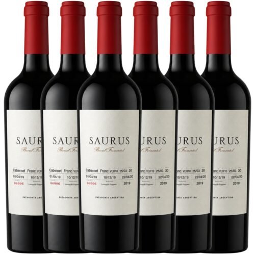 Vino Saurus Barrel Fermented Cabernet Franc 750ml x6 unidades