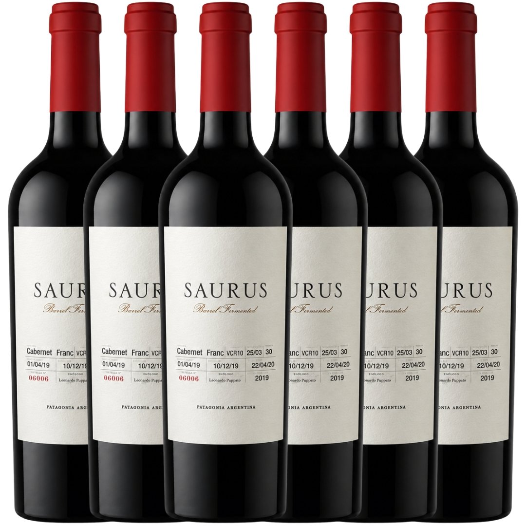 Caja Saurus Barrel Fermented Cabernet Franc x6