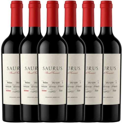 Vino Saurus Barrel Fermented Malbec 750ml x6 unidades