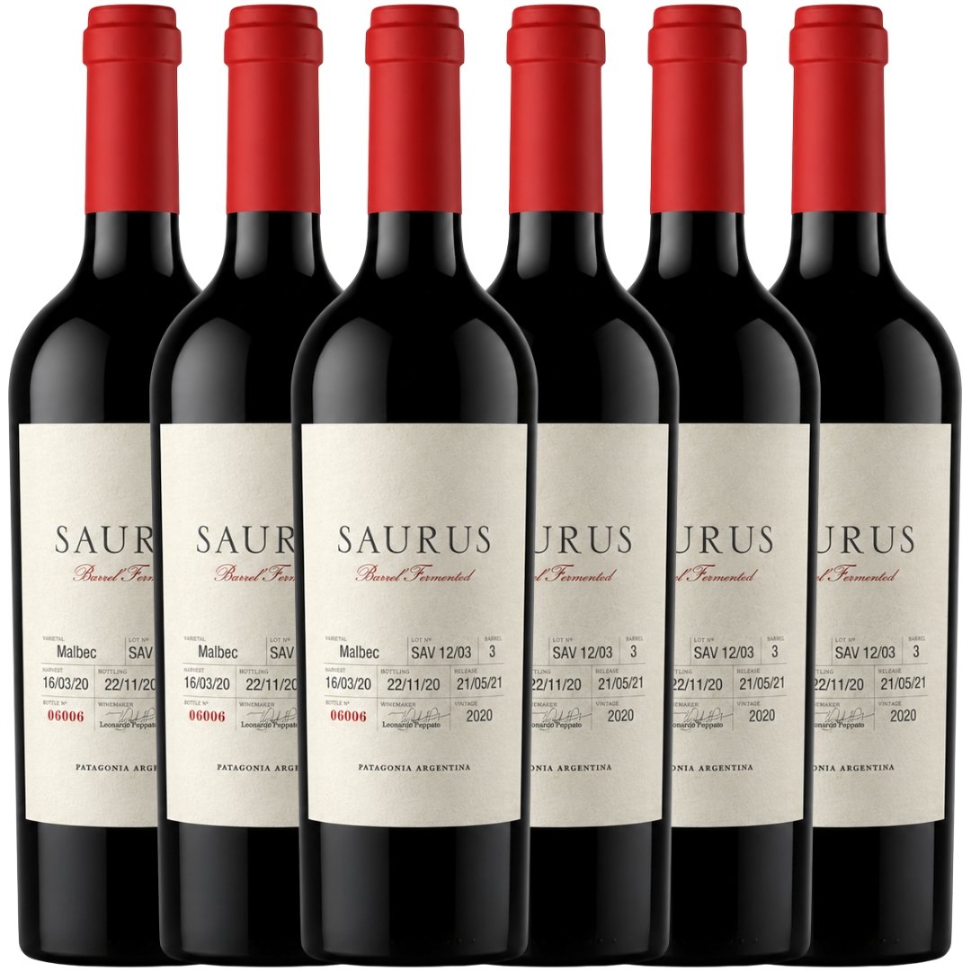 Caja Saurus Barrel Fermented Malbec x6