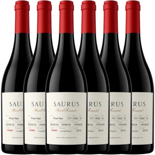 Vino Saurus Barrel Fermented Pinot Noir 750ml x6 unidades