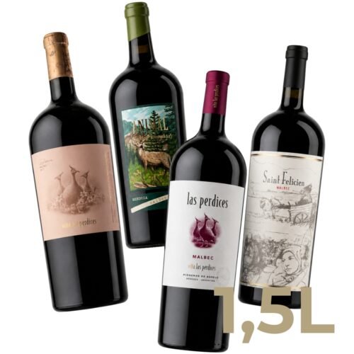 Combo Grandes Formatos Malbec x4 | 4 Magnum 1.5 litros