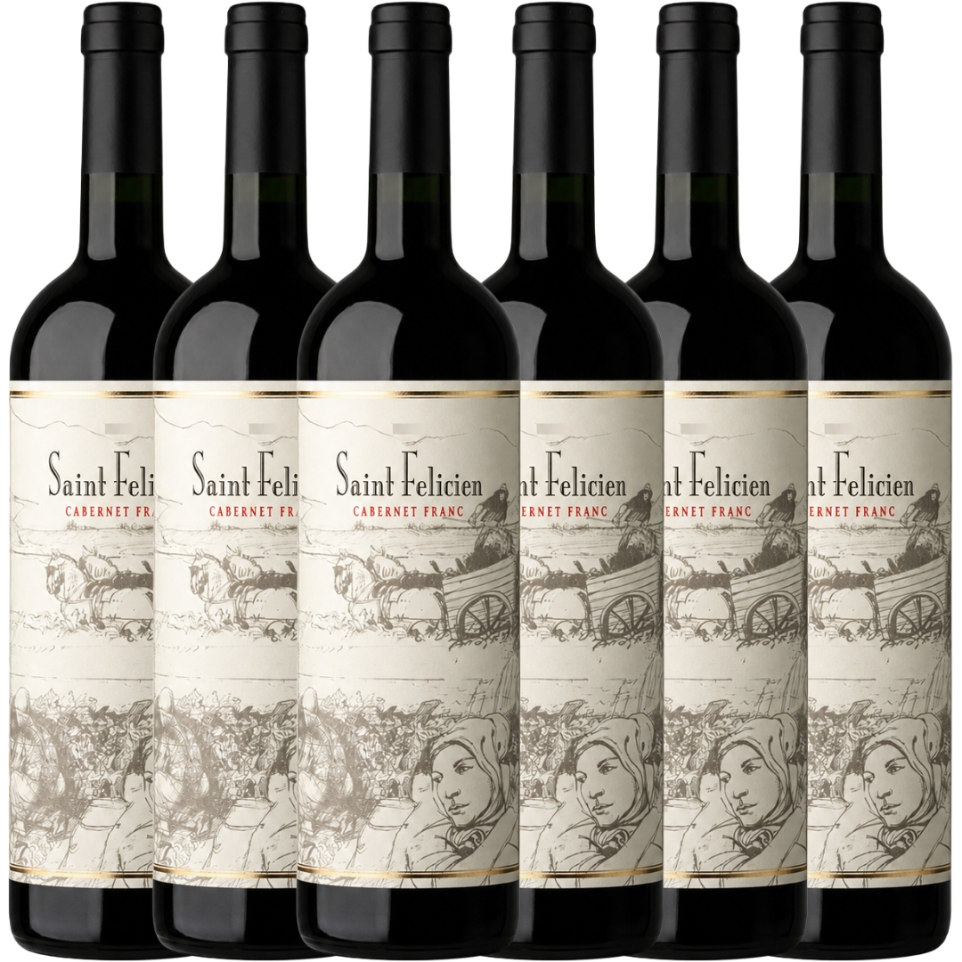 Caja x6 Saint Felicien Cabernet Franc 750ml Catena Zapata