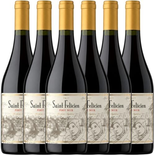 Caja x6 Saint Felicien Pinot Noir 750ml | Catena Zapata