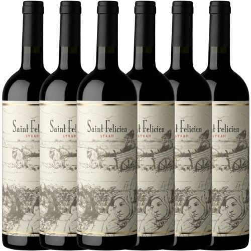 Caja x6 Saint Felicien Syrah 750ml | Catena Zapata