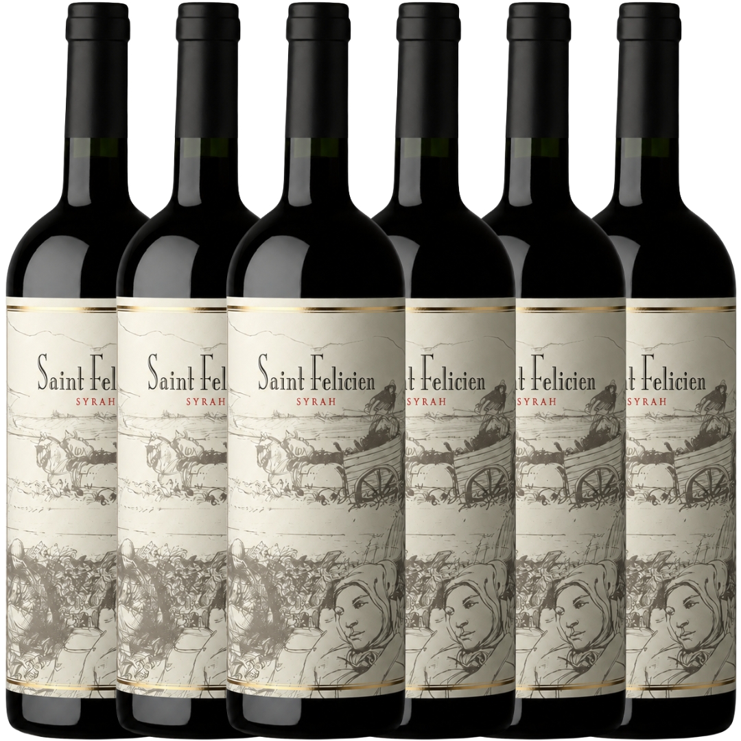 Caja x6 Saint Felicien Syrah 750ml Catena Zapata