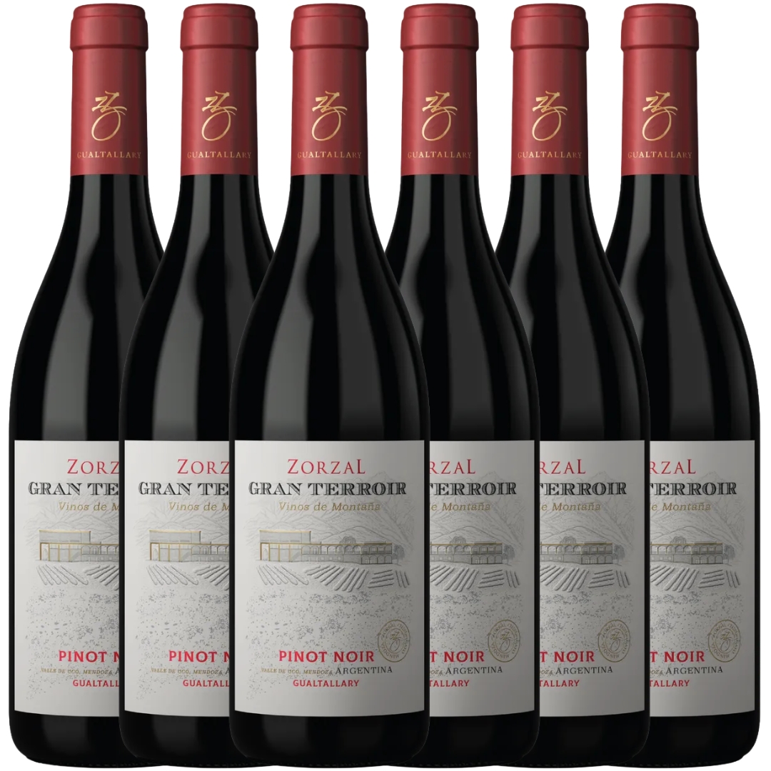 Caja x6 Zorzal Gran Terroir Pinot Noir 750ml Gualtallary