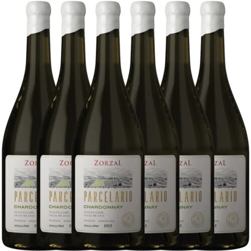Caja x6 Zorzal Parcelario Chardonnay 2023 750ml | Gualtallary