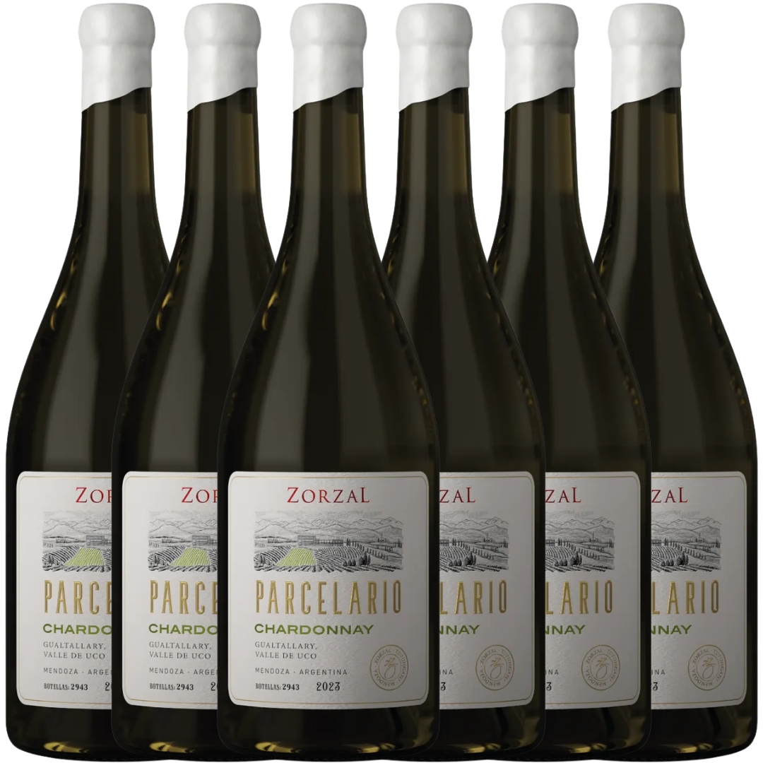 Caja x6 Zorzal Parcelario Chardonnay 2023 750ml Gualtallary