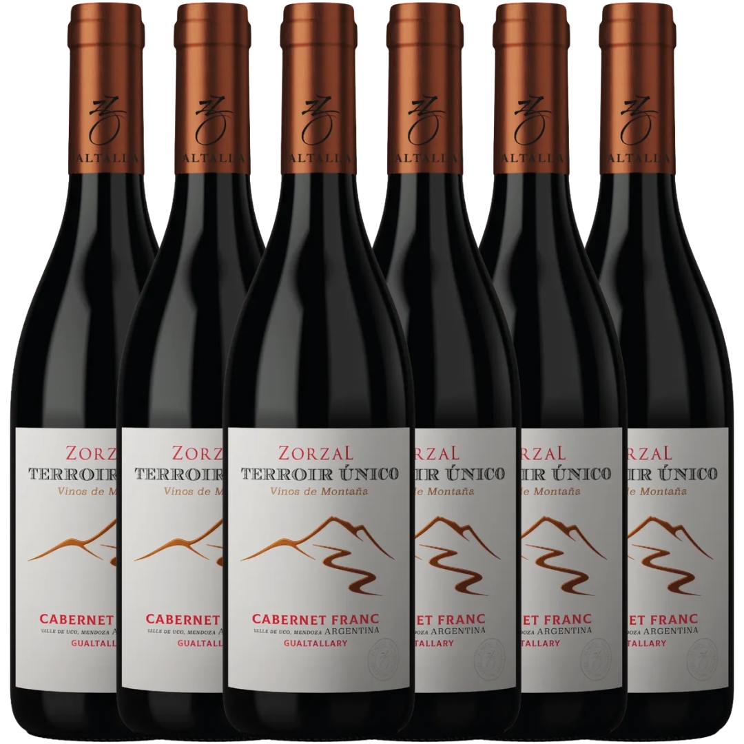 Caja x6 Zorzal Terroir Único Cabernet Franc 750ml Gualtallary