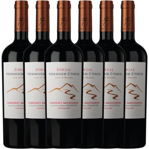 Caja x6 Zorzal Terroir Único Cabernet Sauvignon 750ml | Gualtallary