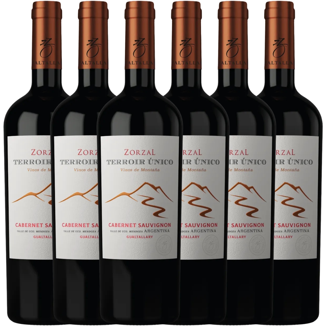 Caja x6 Zorzal Terroir Único Cabernet Sauvignon 750ml Gualtallary