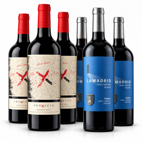 Mix Malbec Dos Estilos x6 | Proyecto X + Lamadrid