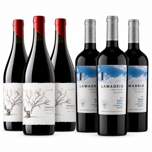 Mix Mendoza Distinta x6 | Bequignol + Malbec DOC