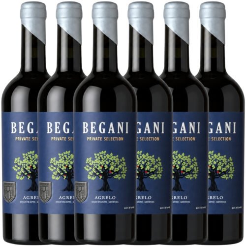 Vino Lamadrid Begani Private Selection Red Blend 2022 750ml x6 unidades