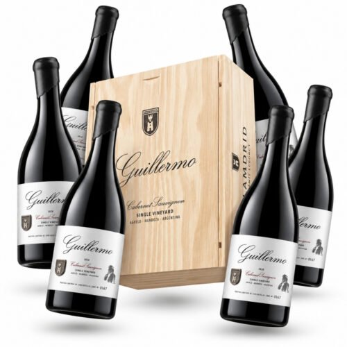 Vino Lamadrid Guillermo Cabernet Sauvignon 2022 750ml x6 unidades | Estuche de madera