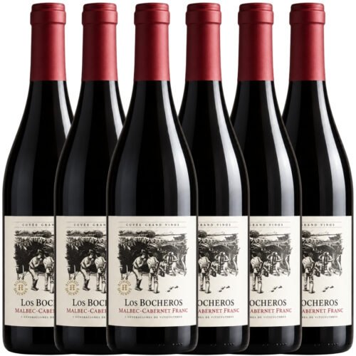 Vino Lamadrid Los Bocheros Malbec Cabernet Franc 750ml x6 unidades