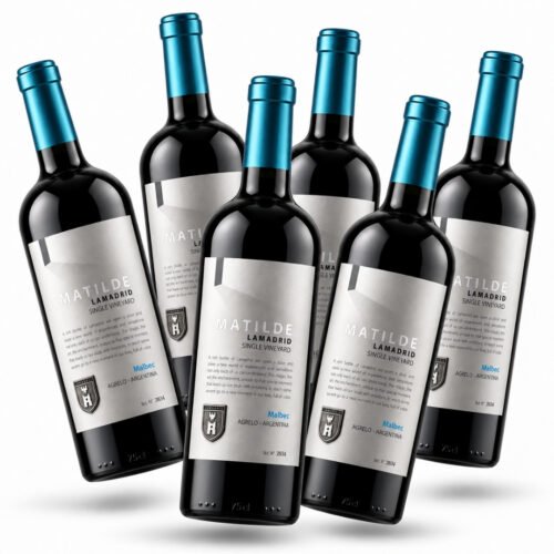 Vino Lamadrid Matilde Malbec 750ml | Finca Matilde x6 unidades
