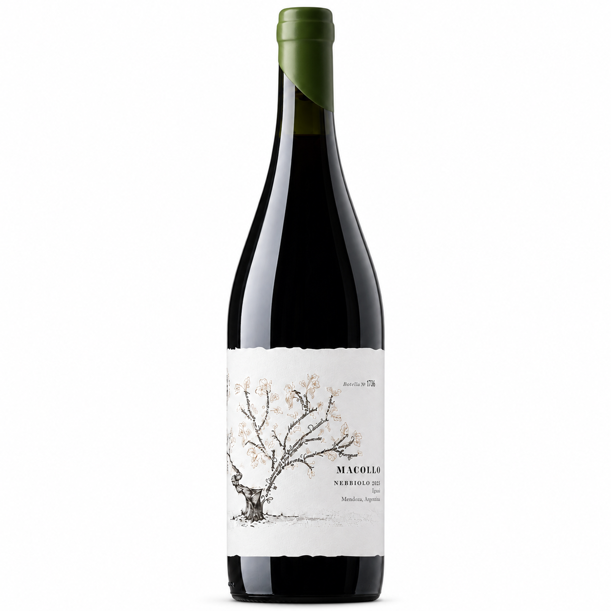 Vino Macollo Nebbiolo 2025 Junín, Mendoza