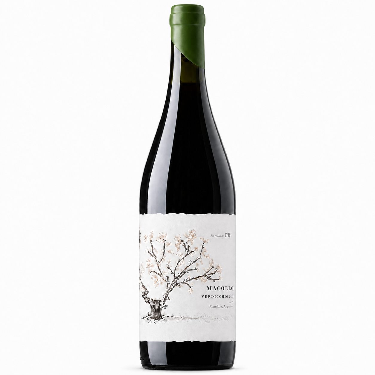 Vino Macollo Verdicchio 2025