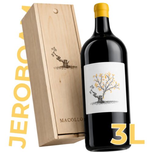 Vino Santiago Vignoni Del Año Doble Magnum 3 litros 2025 | Gran formato