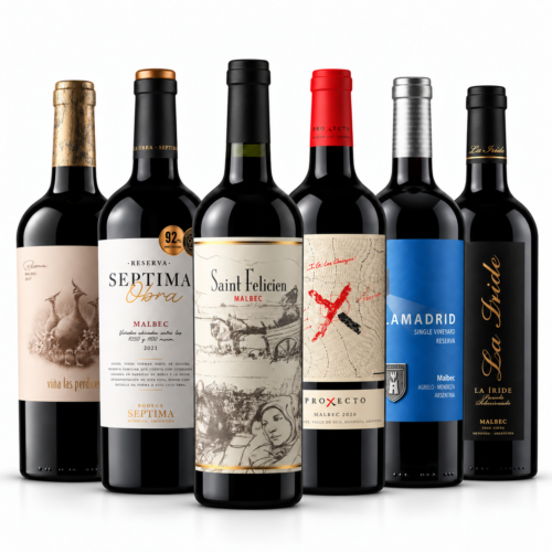 Mix Malbec Selección Especial x6 | Clásicos y Reservas