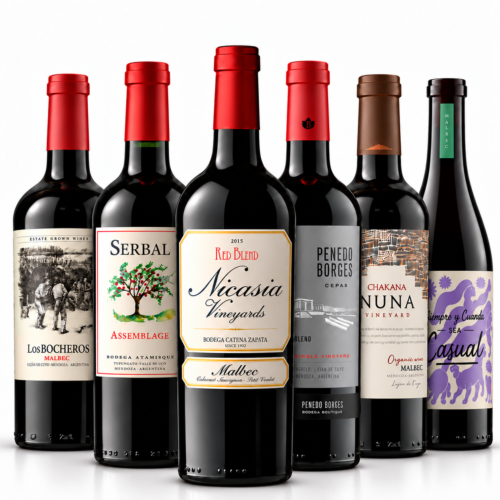 Mix Brindis Seguro x6 | Vinos para Compartir